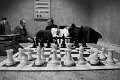 scacchi (16)